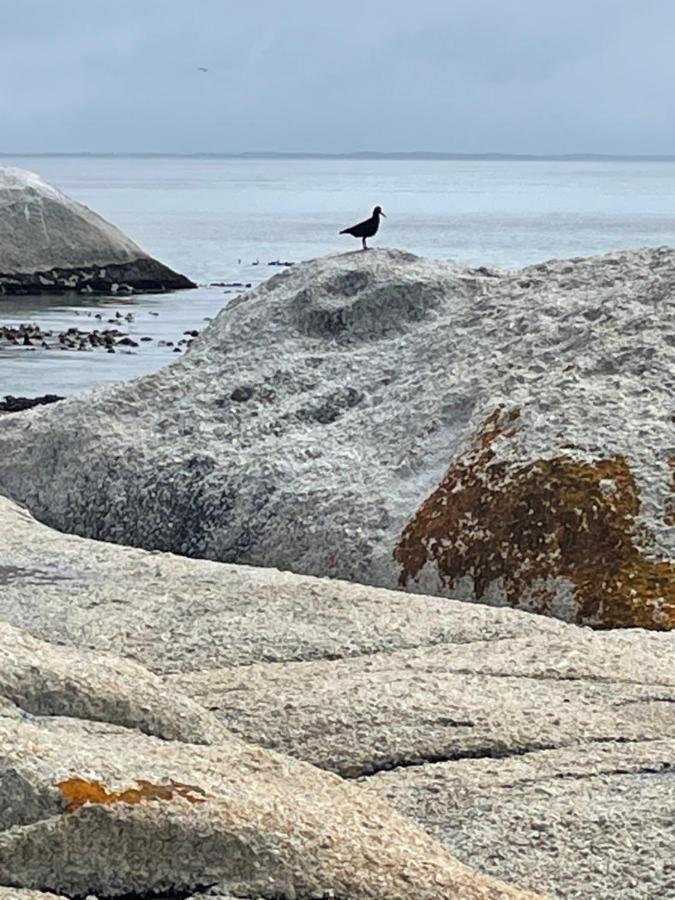케이프타운 Whale Rock 아파트 외부 사진